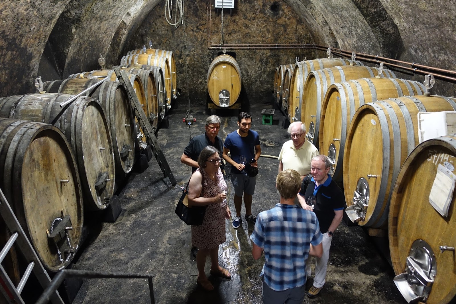 schillerwine Cellar Tour and Tasting at Weingut Salwey in Oberrotweil