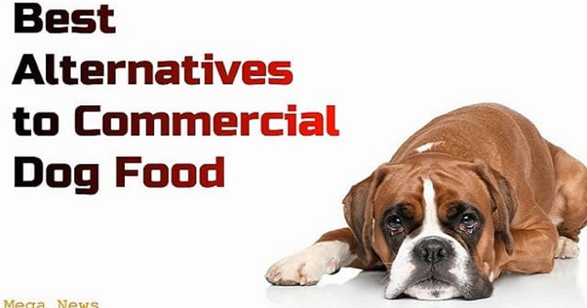 best commercial dog food
