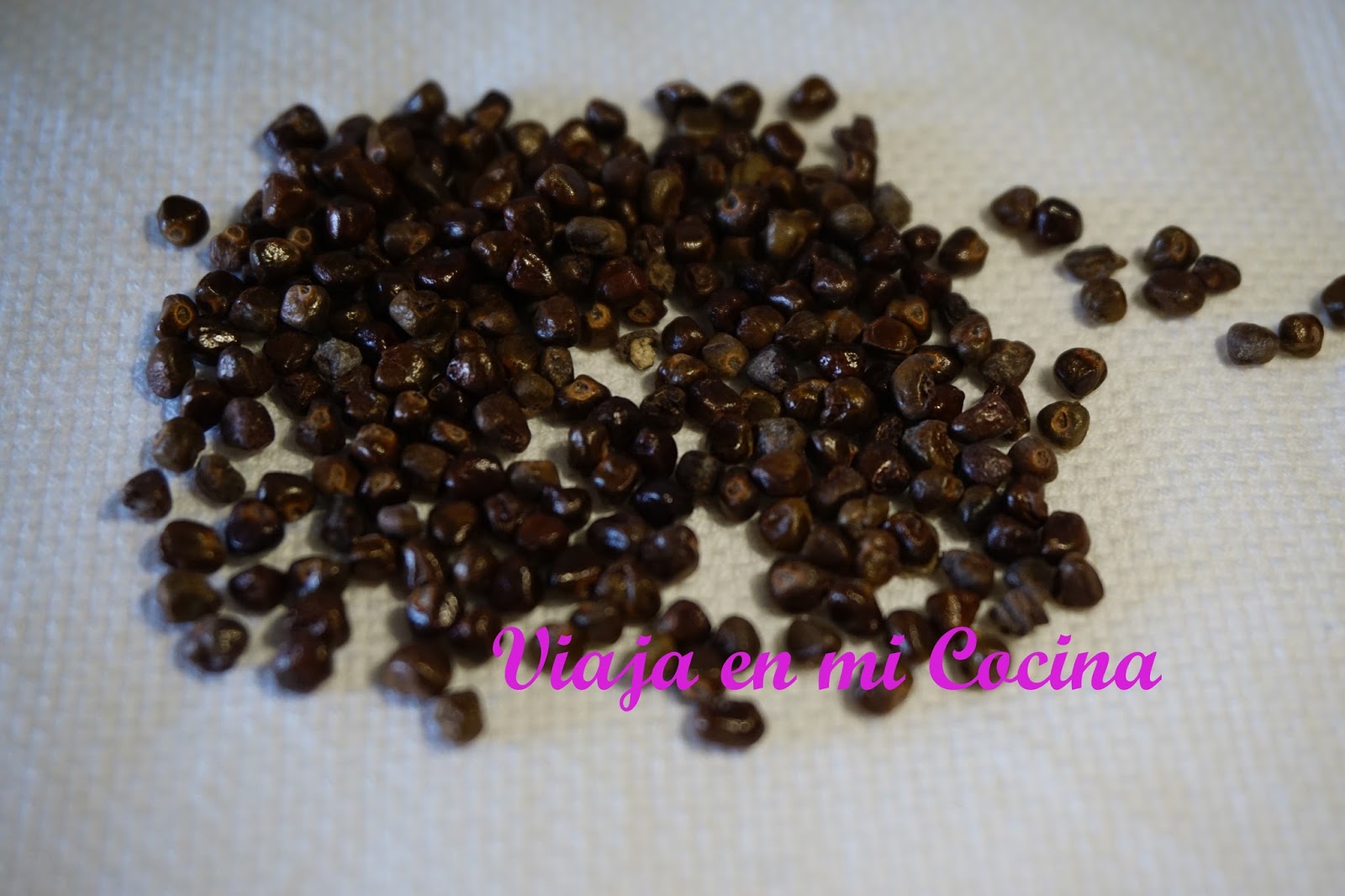 Pimienta de Guinea o Pimienta Malagueta - Viaja en mi Cocina