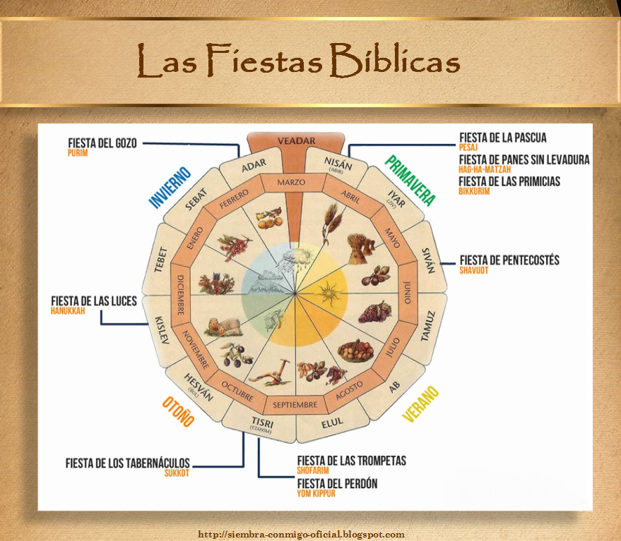 Siembra Conmigo Historia de la Salvación Las Fiestas Bíblicas 19