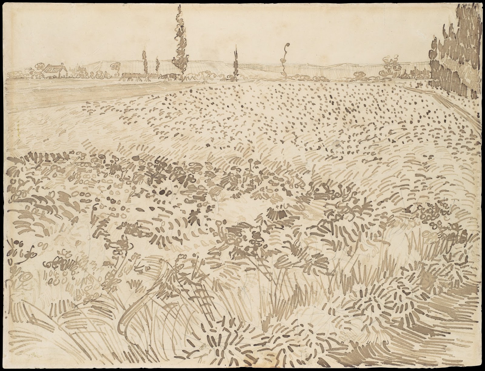 Best Van Gogh Kept Sketches Drawings for Girl