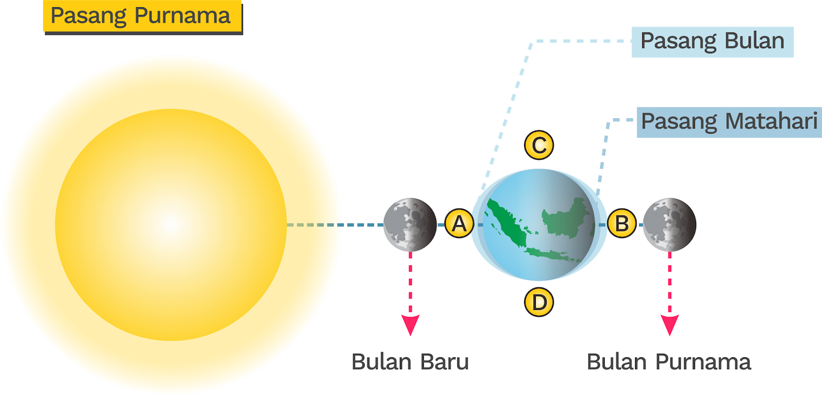 Tata Surya Materi UN IPA SMP 2020