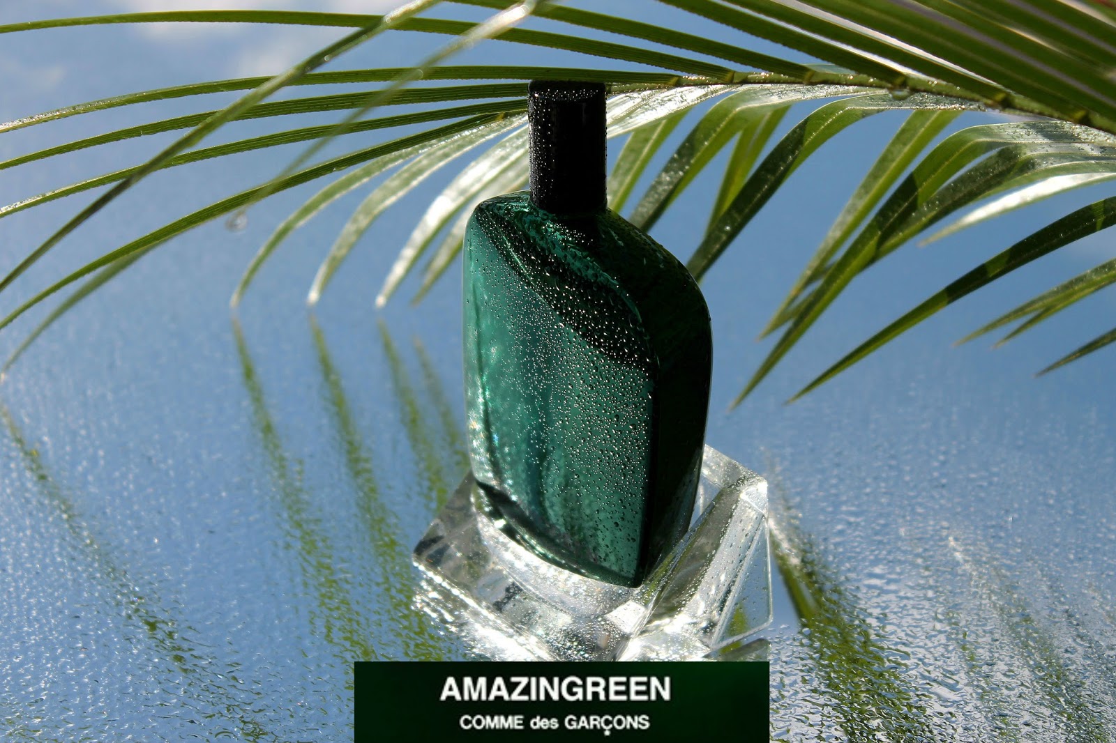 comme des garcons amazingreen review