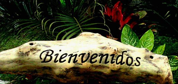 La Naturaleza: Bienvenidos a nuestro Blog