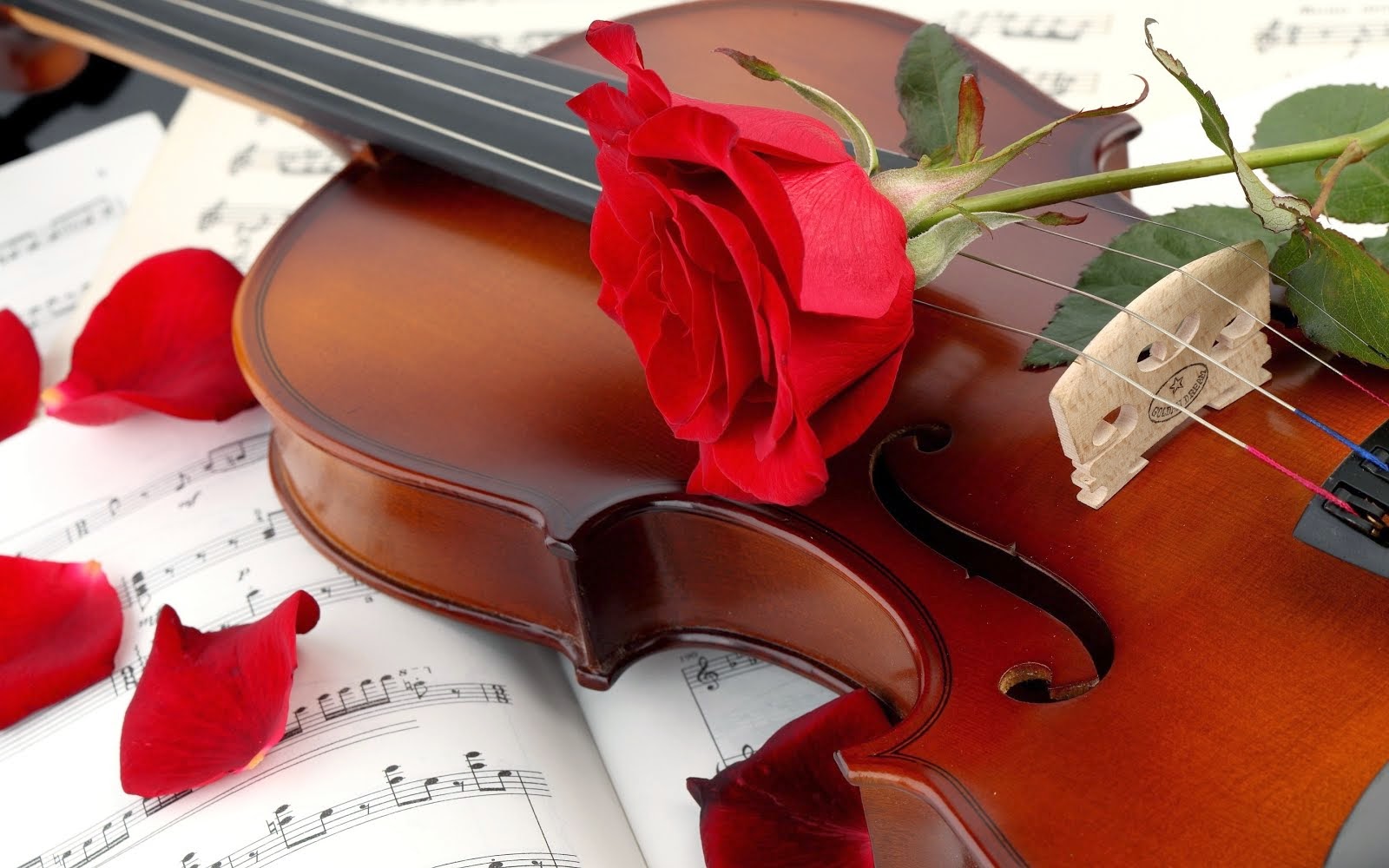 Блог учителя Юсуповой Эльмиры Маратовны г.Стерлитамак РБ: Должностная ...