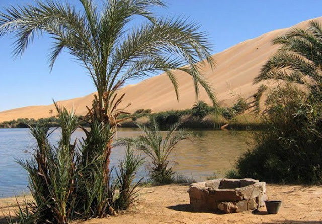 الواحات البحرية الواحات البحرية