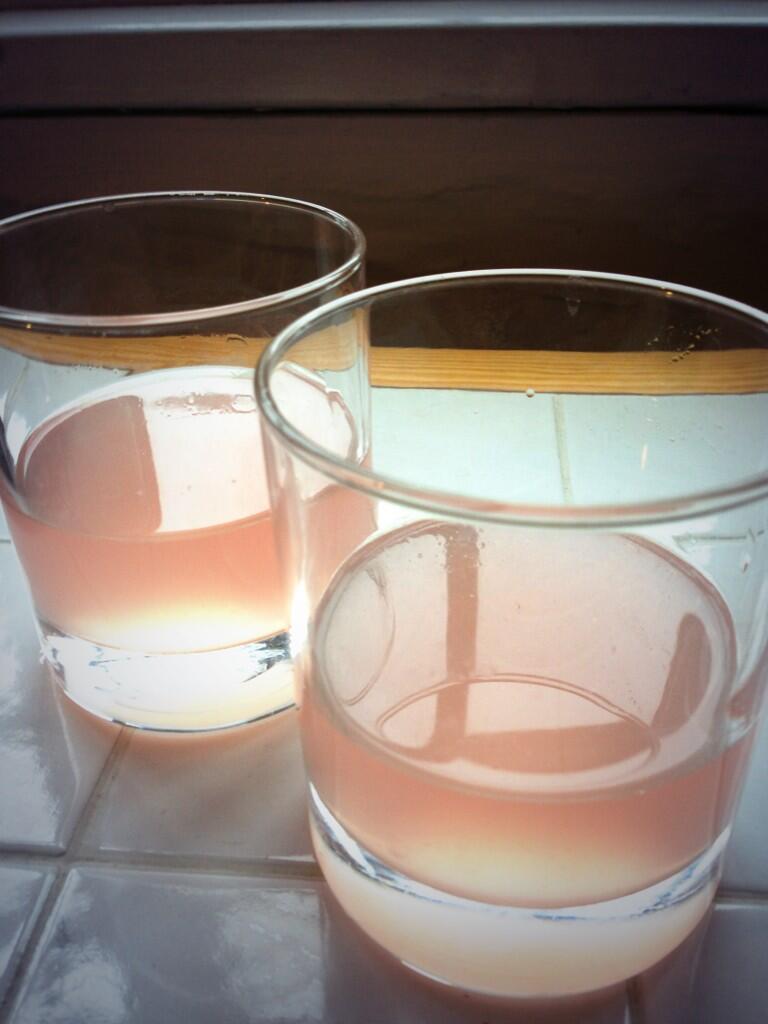 Lazy Giraffe Blog Rhubarb Vodka & Cocktails!