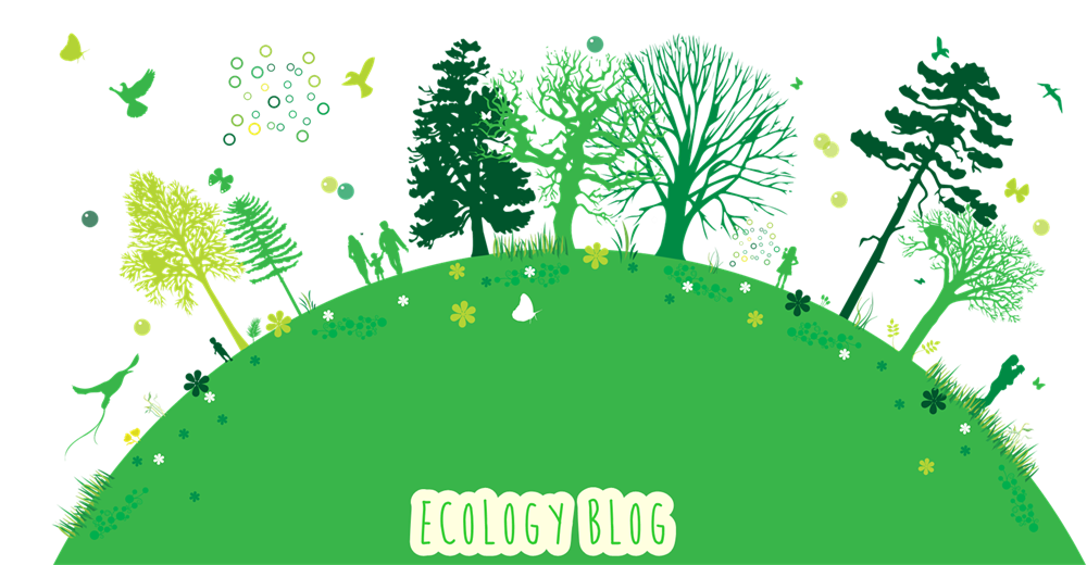 Ecology Blog