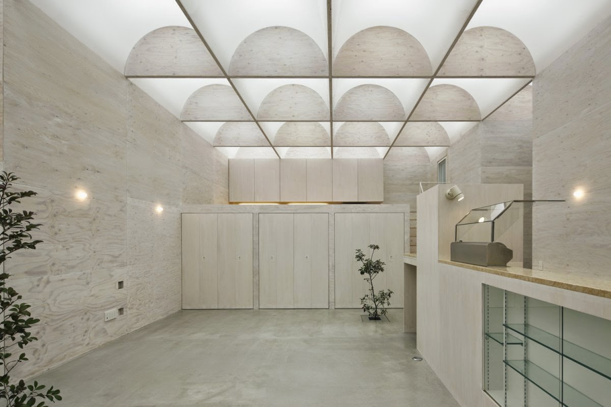 Desain Rumah atap lengkung berundak transparan minimalis 