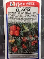 Levana, Tomat Levana, Benih Tomat Levana, Bibit Tomat Levana, Benih Tomat, Takii Seed, Lmga Agro