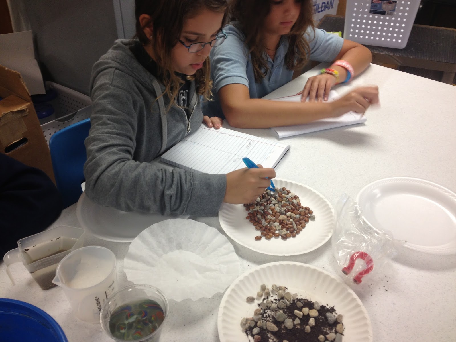 Ms. Davis' 5th grade class happenings!: Separating Mixtures and