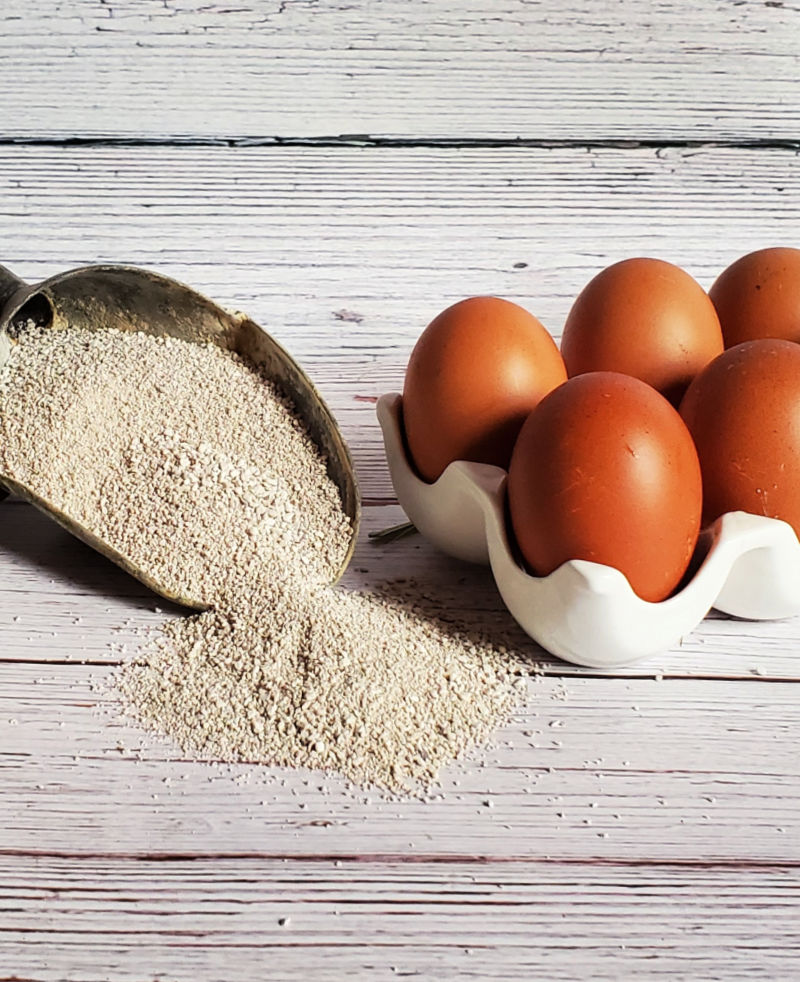 All about Diatomaceous Earth In your Chicken Coop, Garden and Home