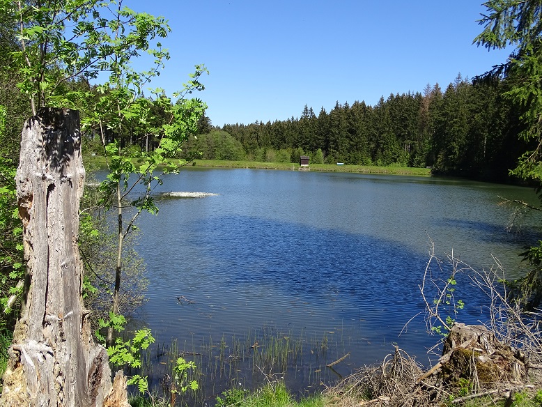 2. TEIL GOETHE BRICHT ZUM BROCKEN AUF SEIN GIPFELERLEBNIS