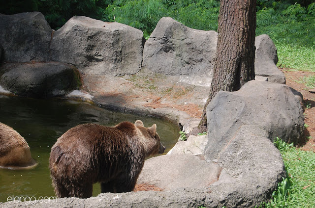 taman safari