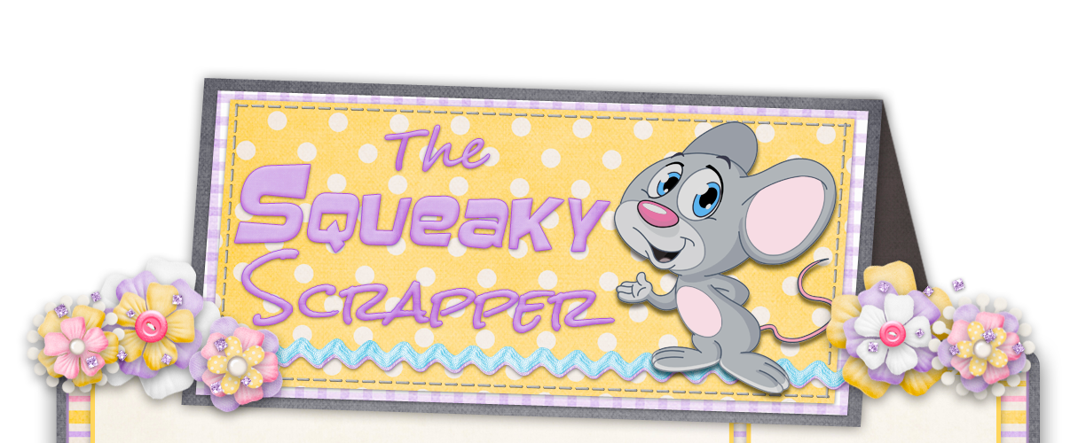 The Squeaky Scrapper