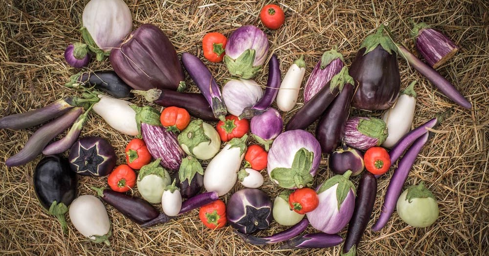 Pamelopee Tandem Lesen Mit Kinderbuch Und Cd Oder Doch Lieber Nur