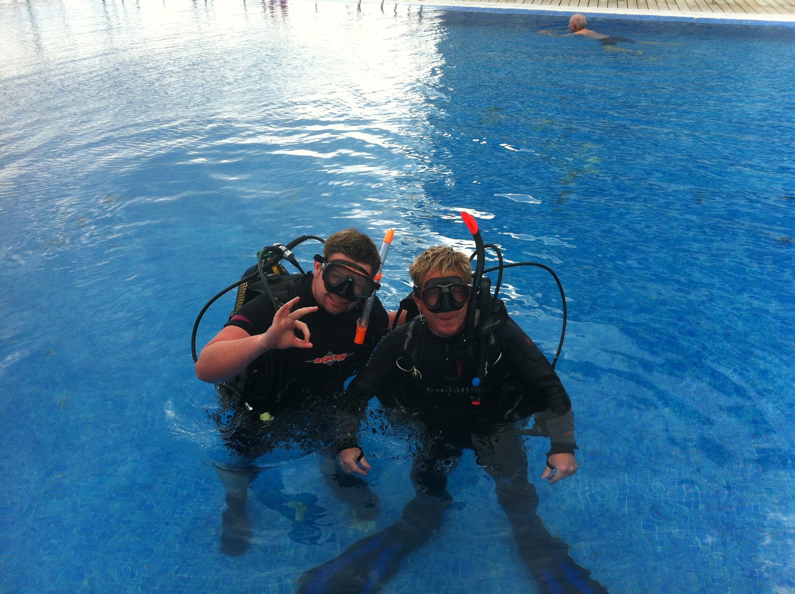 Amarilla Divers Tenerife Diving Tenerife Divemaster update November