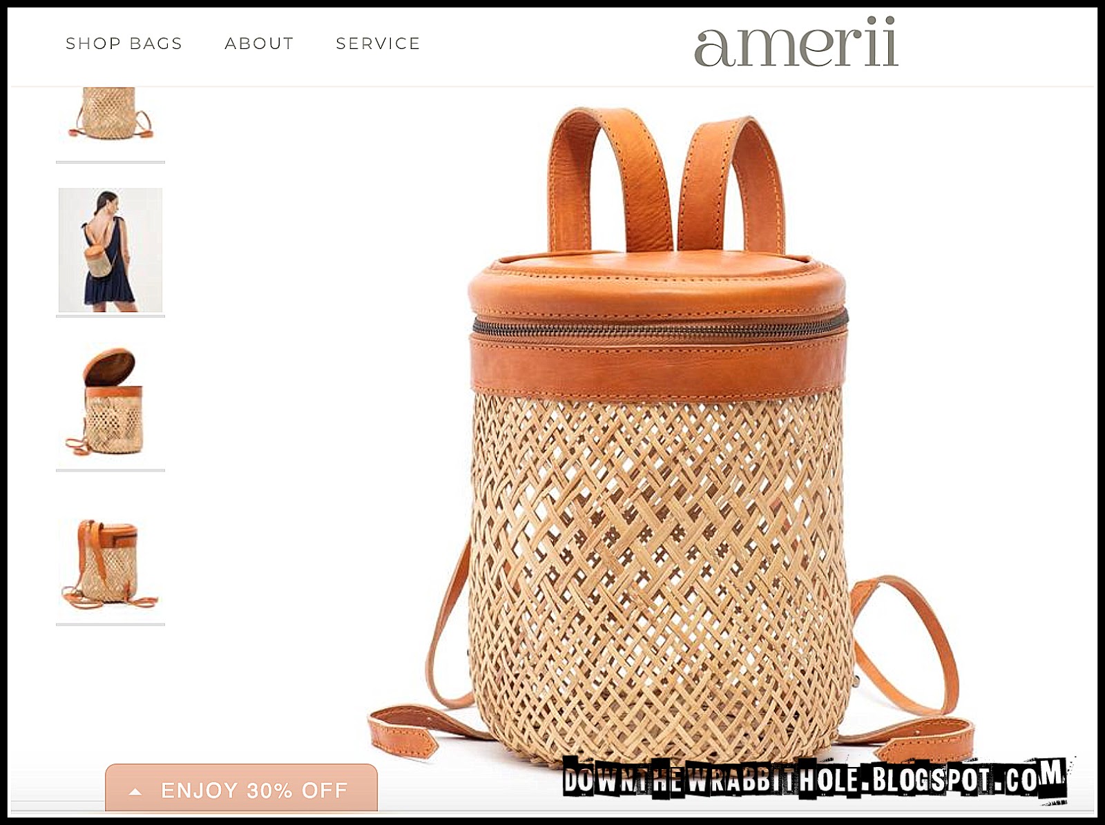 amerii bags