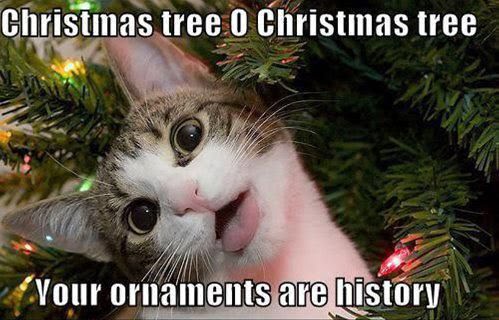 Christmas Tree O Christmas Tree - Your Ornaments Are History