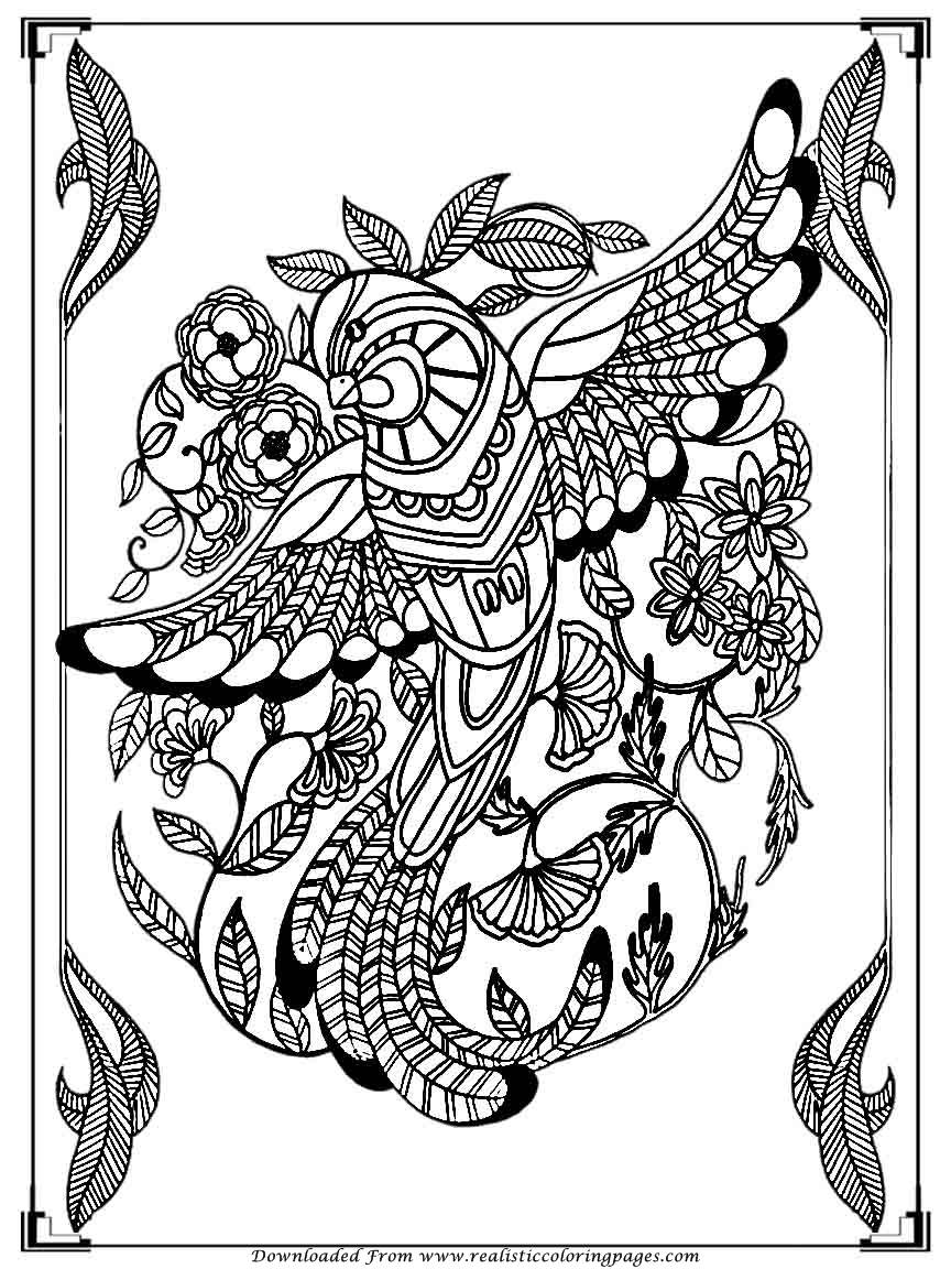 Printable Birds Coloring Pages For Adults Realistic Coloring Pages