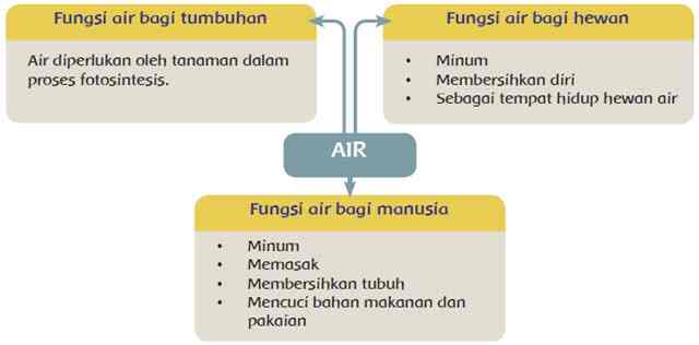 Fungsi Air Bagi Manusia Hewan dan Tumbuhan