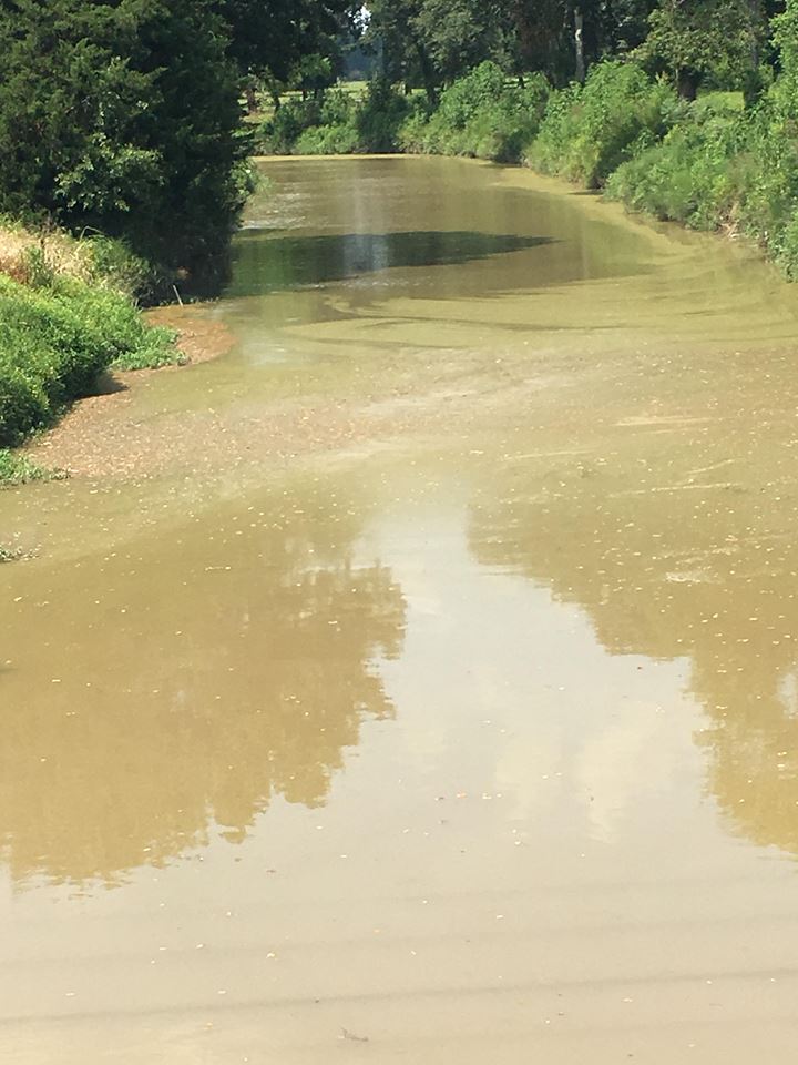 Early Cajun Music "La Veuve De La Coulee" Leroy "Happy Fats" Leblanc