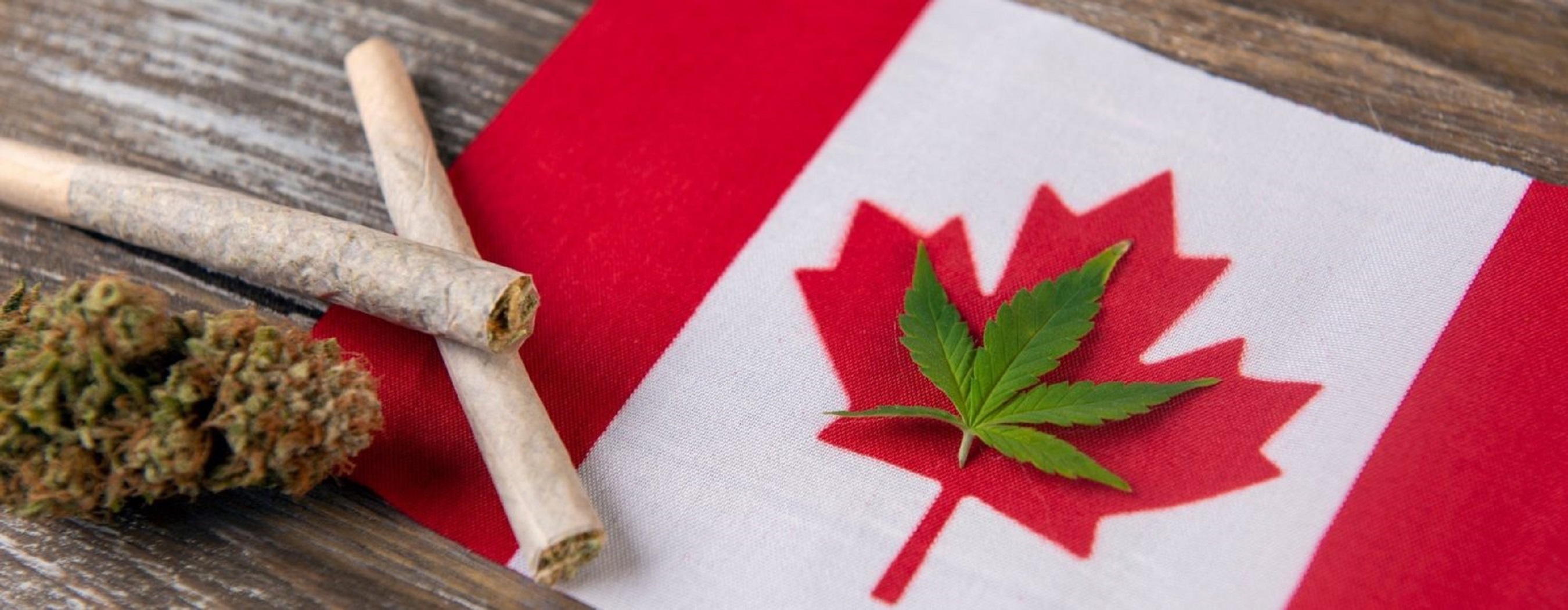 How to find a good Cannabis store in Winnipeg The Greenmates