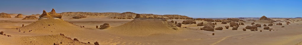 وادي الحيتان - حياة بحرية في قلب الصحراء