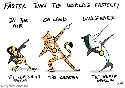 Green Humour: Animals faster than Usain Bolt