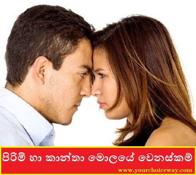 පිරිමි හා කාන්තා මොලයේ වෙනස්කම් (Men vs Women Brain) - Your Choice Way