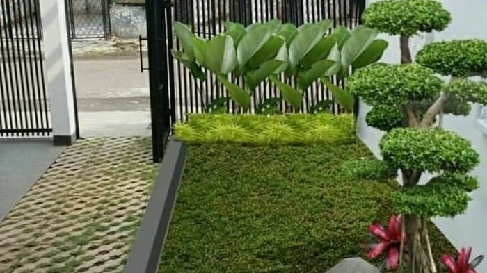 Beberapa Jenis Taman Minimalis Yang Dapat Menambah Keindahan Dalam