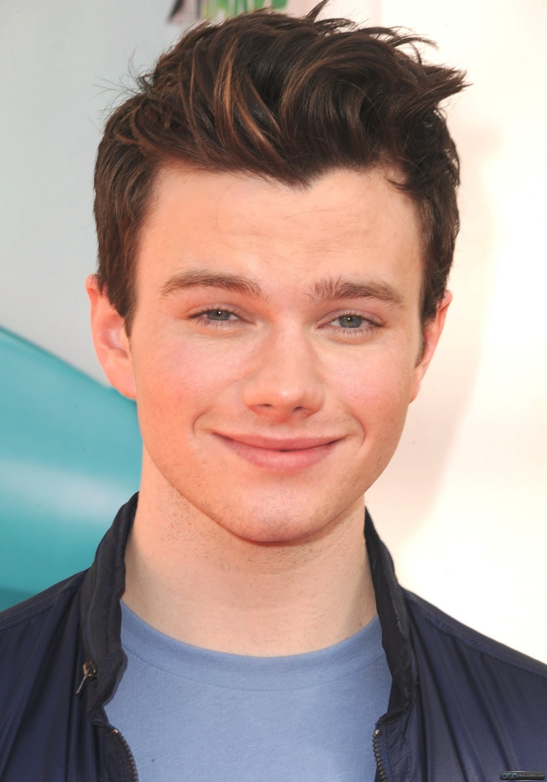 Chris Colfer HairStyle (Men HairStyles) - Men Hair Styles Collection