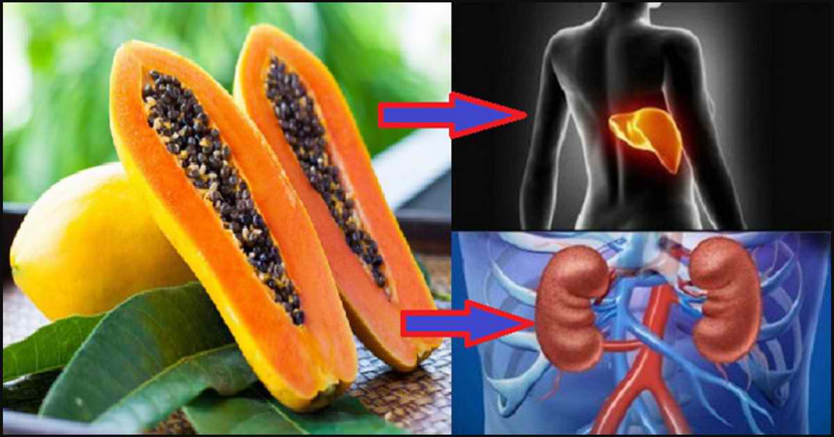 Here’s How to Prepare PAPAYA SEEDS to Detoxify Your Liver, Kidneys and