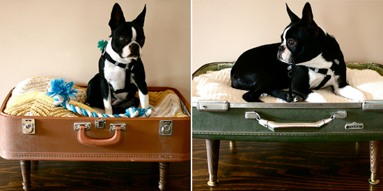 DIY - Un panier pour chien dans une valise. - Woof mag' - le blog des chiens  heureux