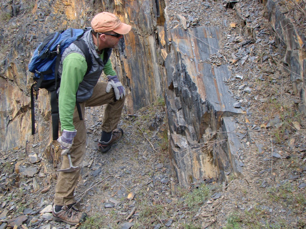 Geotripper Hunting for Fossils in the Sierra Nevada...Wait a Minute