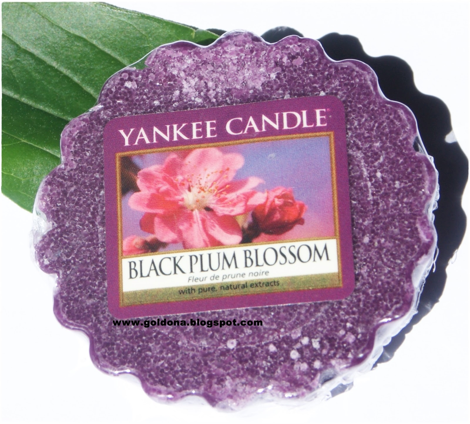 pasje.. zainteresowania.. czas wolny.. Black Plum Blossom od YC.