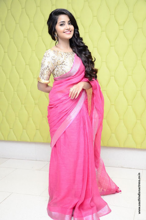 Anupama Parameswaran at Vunnadi Okate Zindagi Movie Thanks Meet