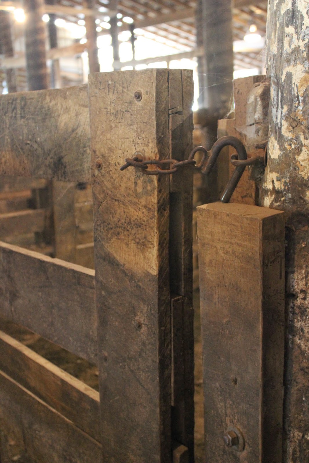 Snug Harbor Bay Livingston Livestock Auction