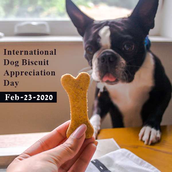 International Dog Biscuit Appreciation Day Wishes pics free download