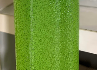 함마톤 분체도료(녹색)