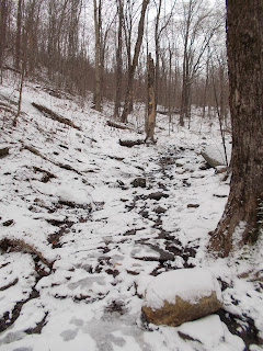 Mont Sutton, sentier l'hiver