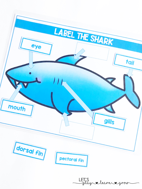 Label a Shark