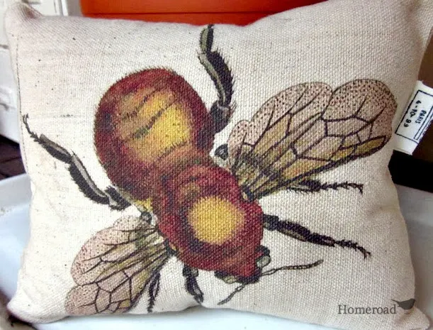 Bee transfer on a pillow