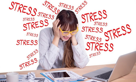 stress causes memory impairment
