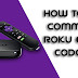 How To Fix Common Roku Error Codes