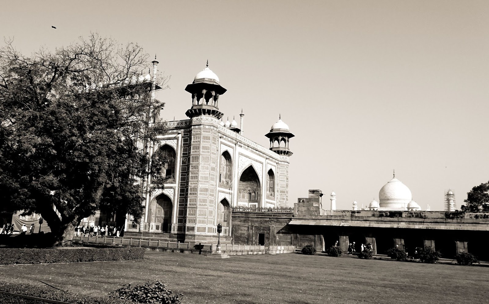The estetic of senses! Le Taj Mahal en noir et blanc, blanc comme