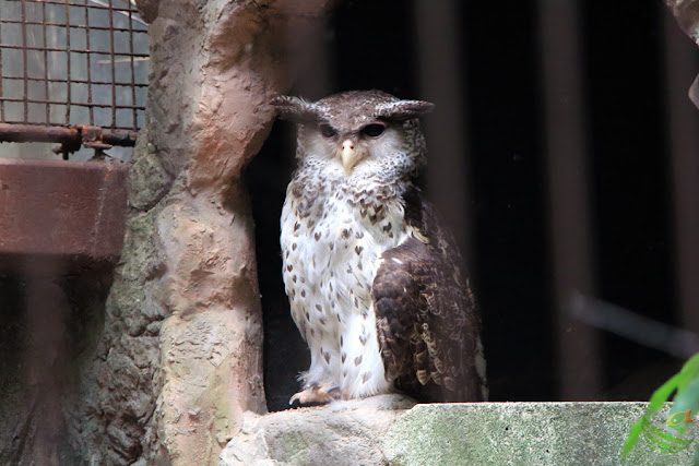 上野動物園