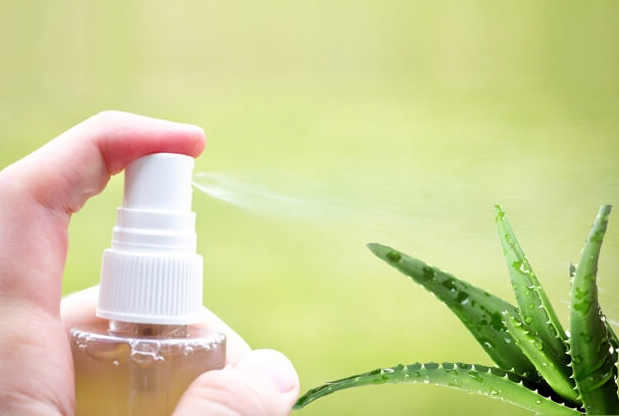 Cara Membuat Sendiri Diy Setting Spray Dari Lidah Buaya Aloe Vera Homemade Cepologis