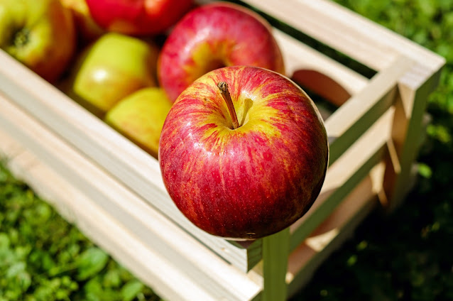 The risk of cancer and heart disease must be reduced and to increase the ability to fight disease, and then eat an apple daily has also been proven in research