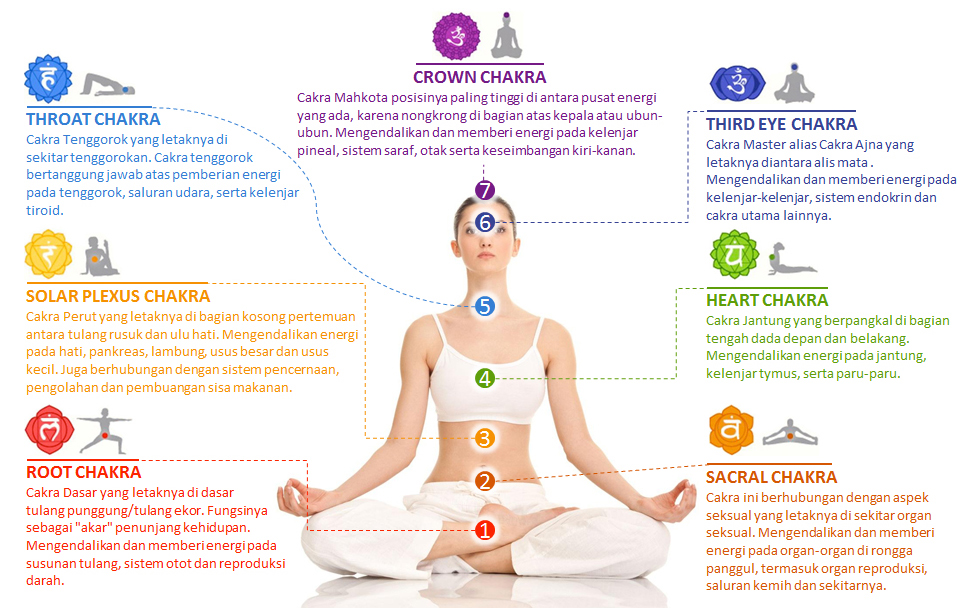 вишудха чакра расположение. схема расположения чакр человека. вишудха чакра расположение. вишудха чакра звук. за что отвечает горловая чакра у женщин.
